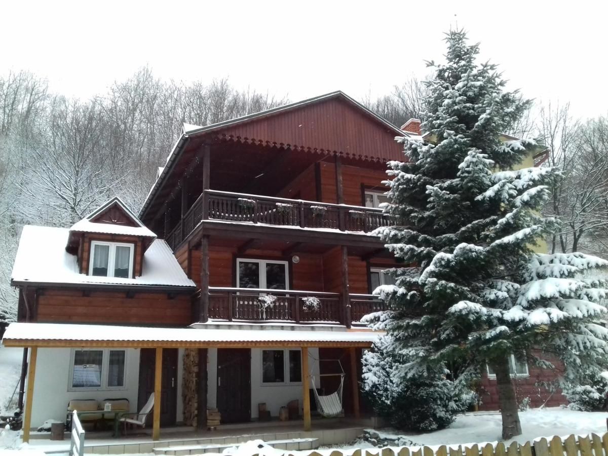 Дома для отпуска Willa Rytro dom w górach Рытро-31